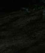 Filename=Hush_1381.jpg
Filesize=92KiB
Dimensions=1920x800
Date added=Jan 18, 2020 Hush_1381.jpg