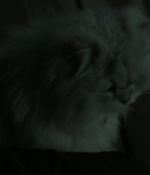 Filename=Hush_1861.jpg
Filesize=50KiB
Dimensions=1920x800
Date added=Jan 18, 2020 Hush_1861.jpg