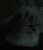 Filename=Hush_1864.jpg
Filesize=47KiB
Dimensions=1920x800
Date added=Jan 18, 2020 Hush_1864.jpg