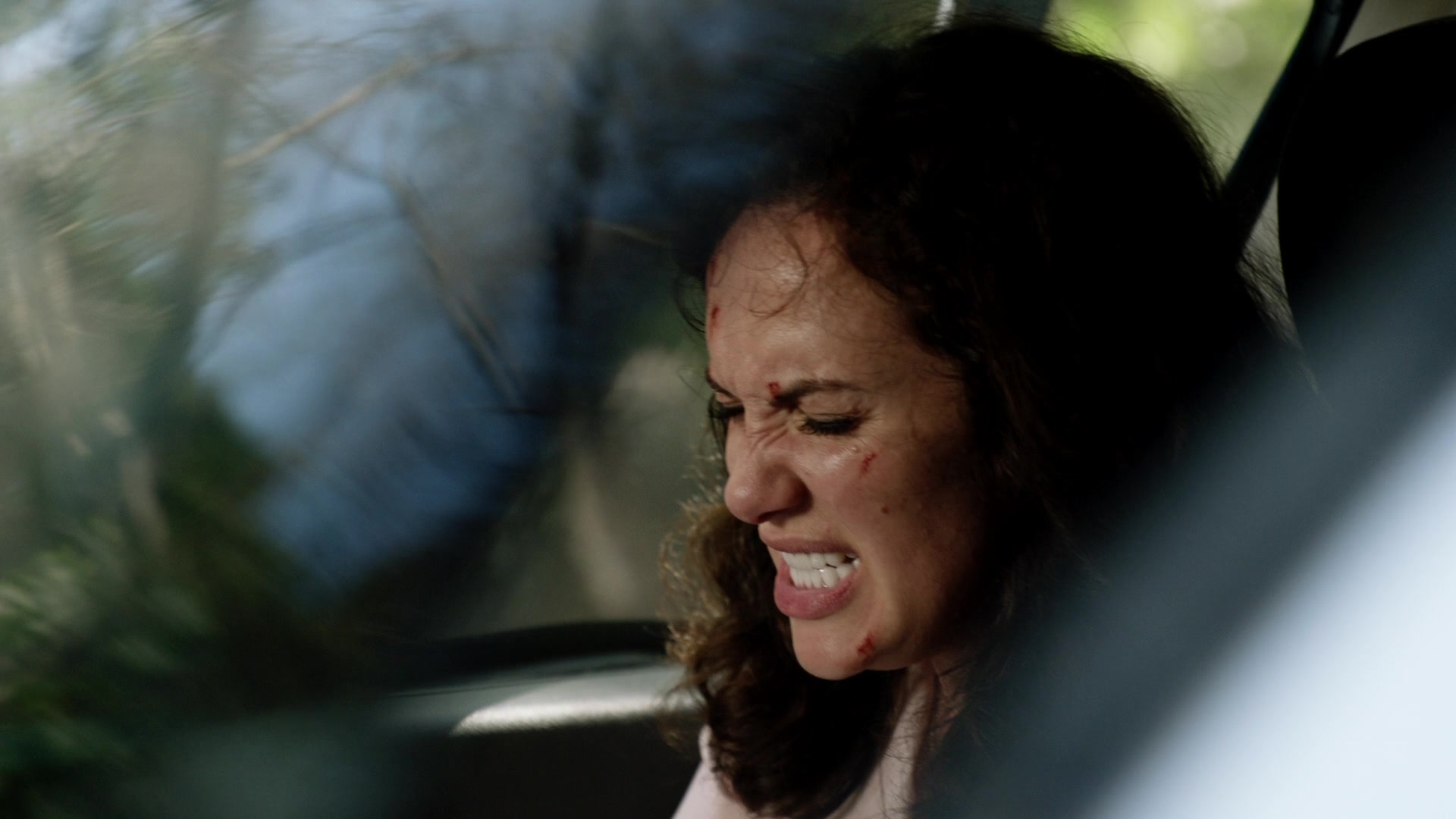 H5010x14_0142.jpg H5010x14_0142.jpg