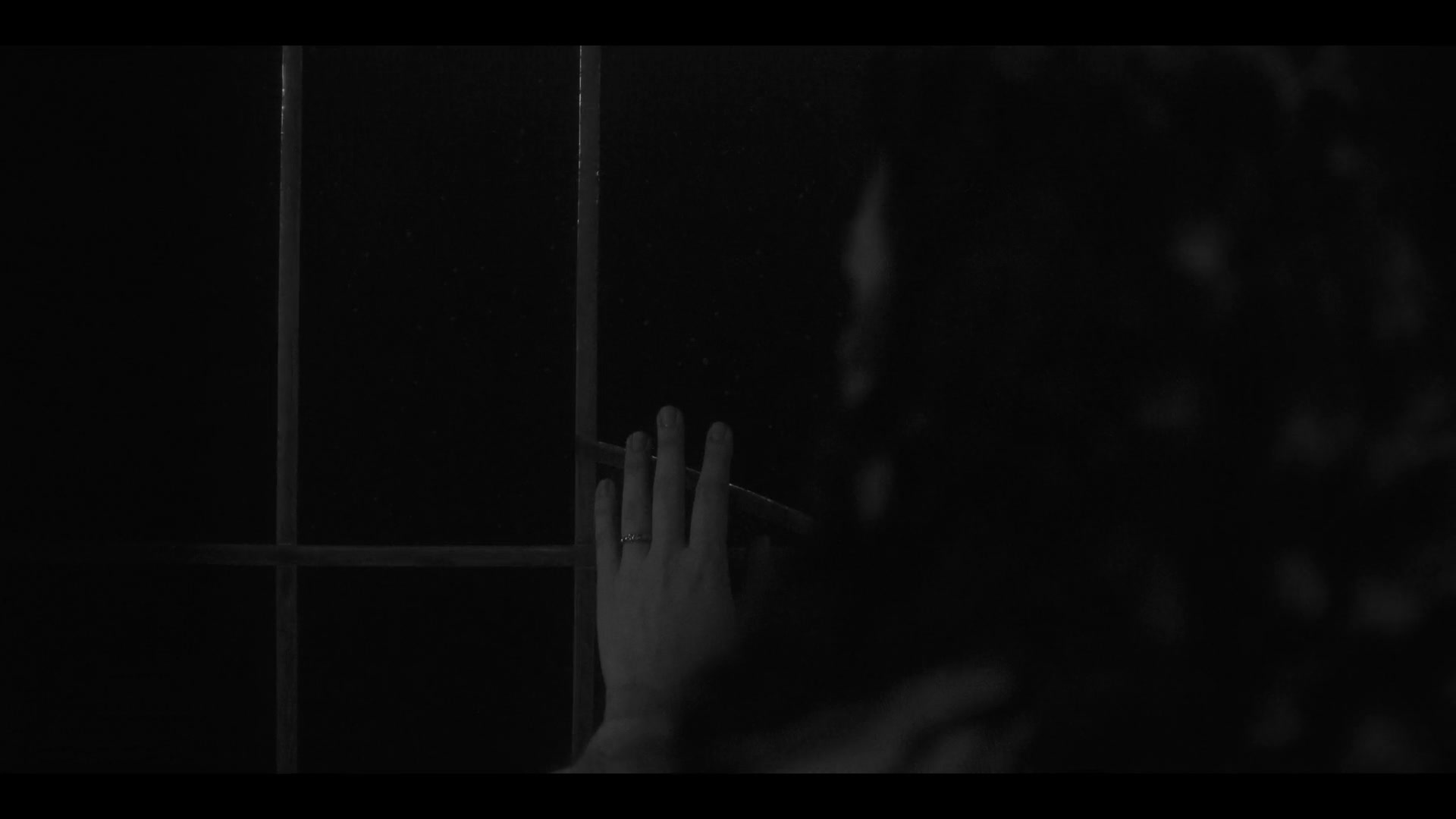 THOBM1x08_0417.jpg THOBM1x08_0417.jpg