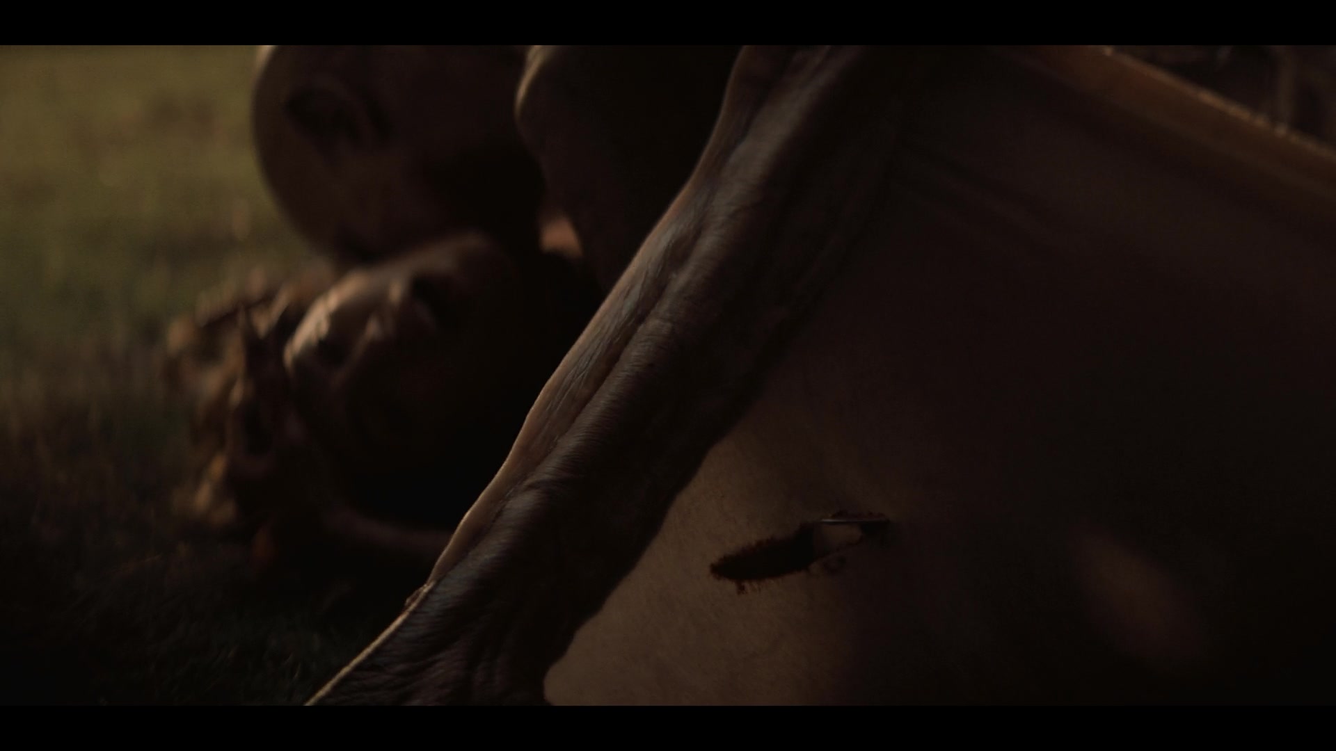 MidnightMass1x07_0160.jpg MidnightMass1x07_0160.jpg