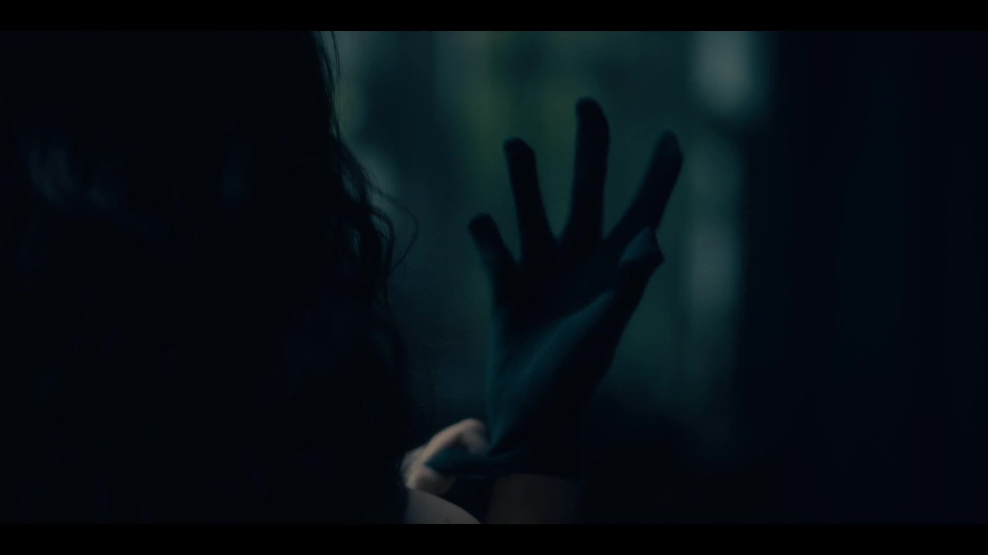 THOHH1x10_0049.jpg THOHH1x10_0049.jpg