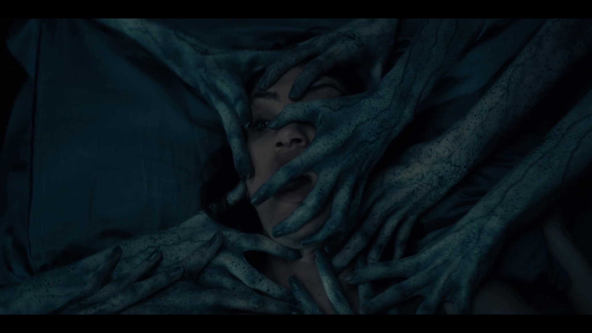 THOHH1x10_0100.jpg THOHH1x10_0100.jpg